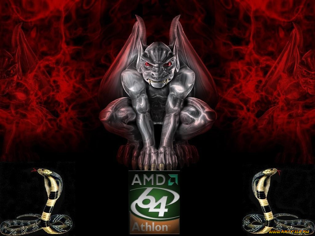 , amd